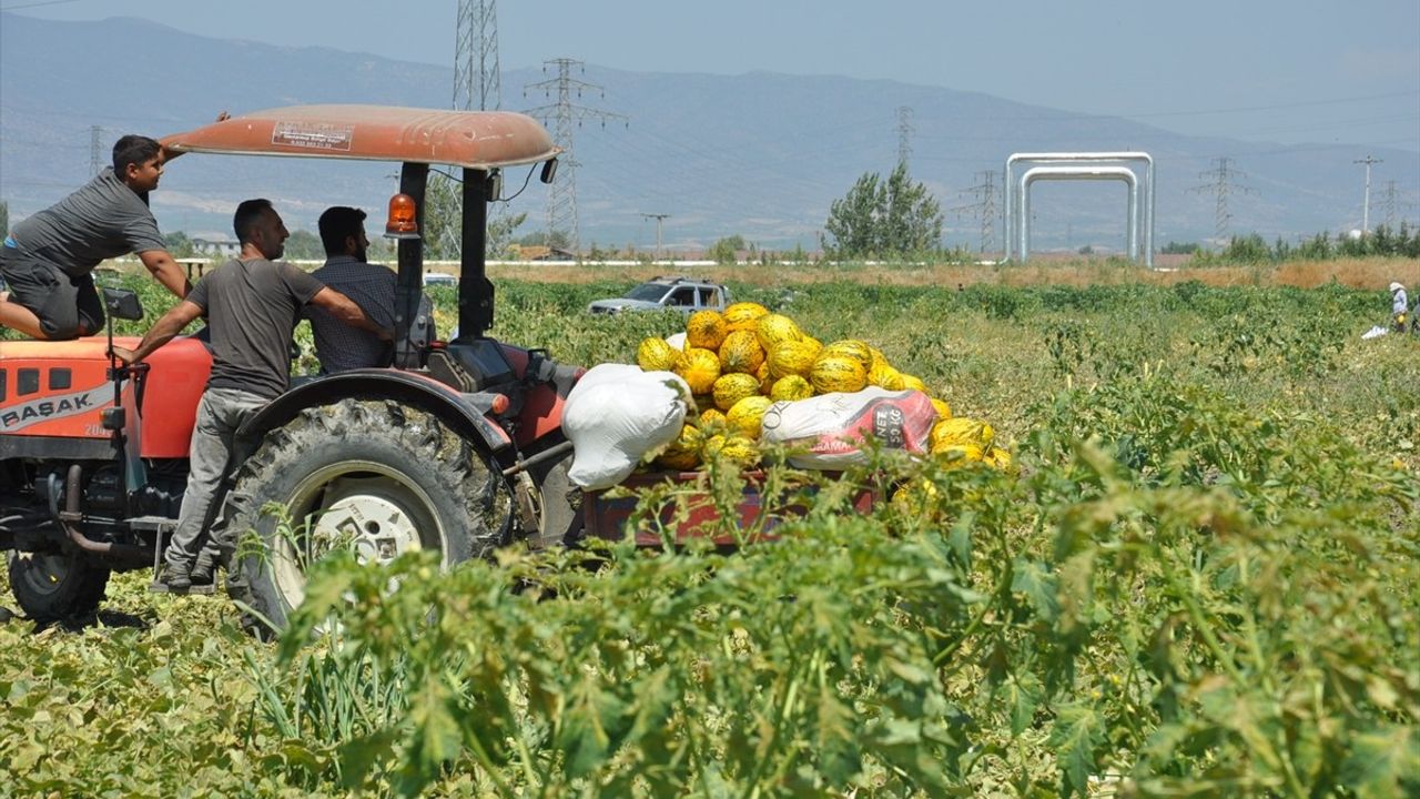 Manisa'da Çiftçiler Ücretsiz Kavun ve Karpuz Dağıtımı Yaptı