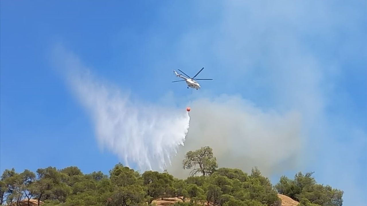 Manisa Salihli'de Orman Yangınına Hızla Müdahale