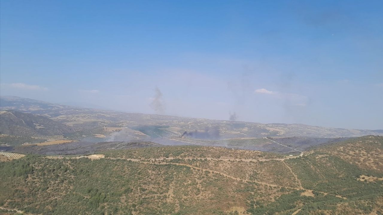 Manisa Salihli'deki Orman Yangınına Müdahale Devam Ediyor