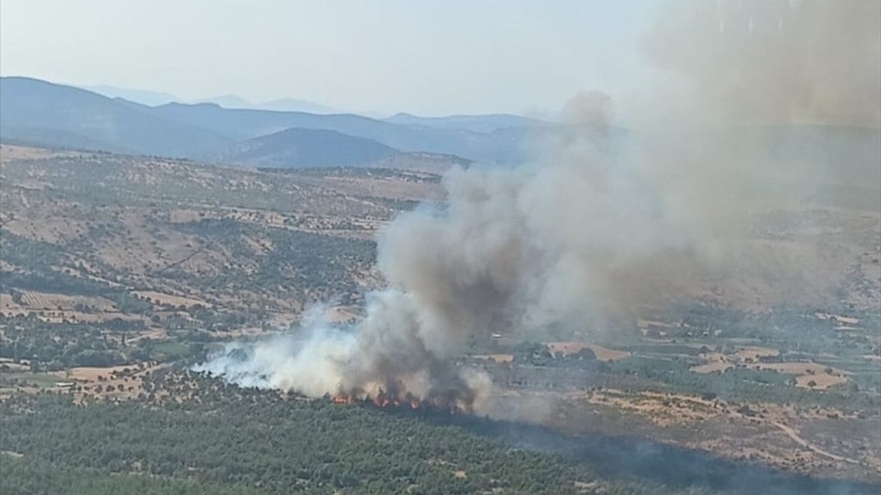 Manisa Yunusemre'de Orman Yangınına Müdahale Devam Ediyor