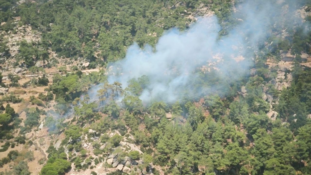 Muğla’da Orman Yangınına Hızla Müdahale Ediliyor