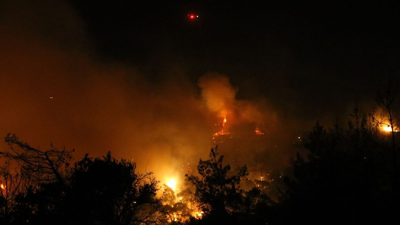 Muğla'nın Milas İlçesinde Orman Yangınına Müdahale Devam Ediyor