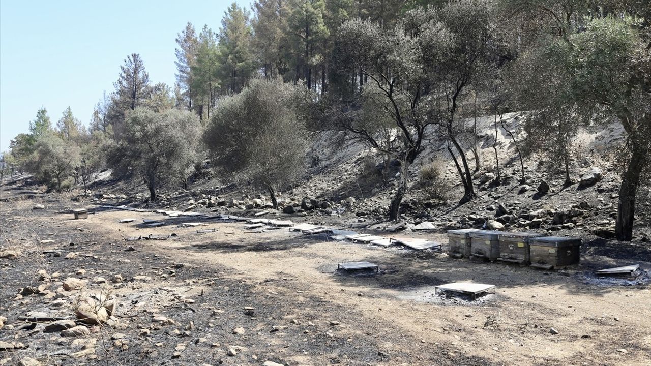 Muğla'nın Yatağan İlçesinde Orman Yangınıyla İlgili Baba ve Oğul Adliyeye Sevk Edildi