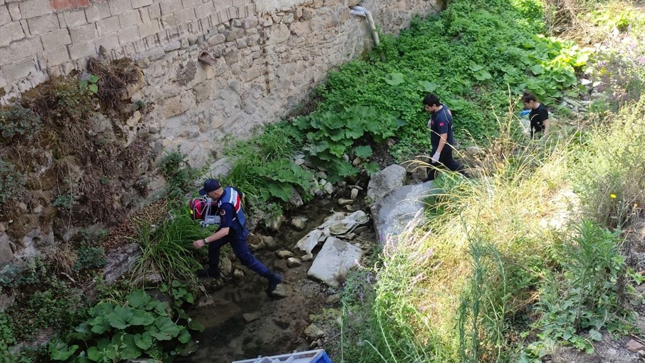 Orhangazi'de Traktör Devrildi, Yaşlı Sürücü Hayatını Kaybetti