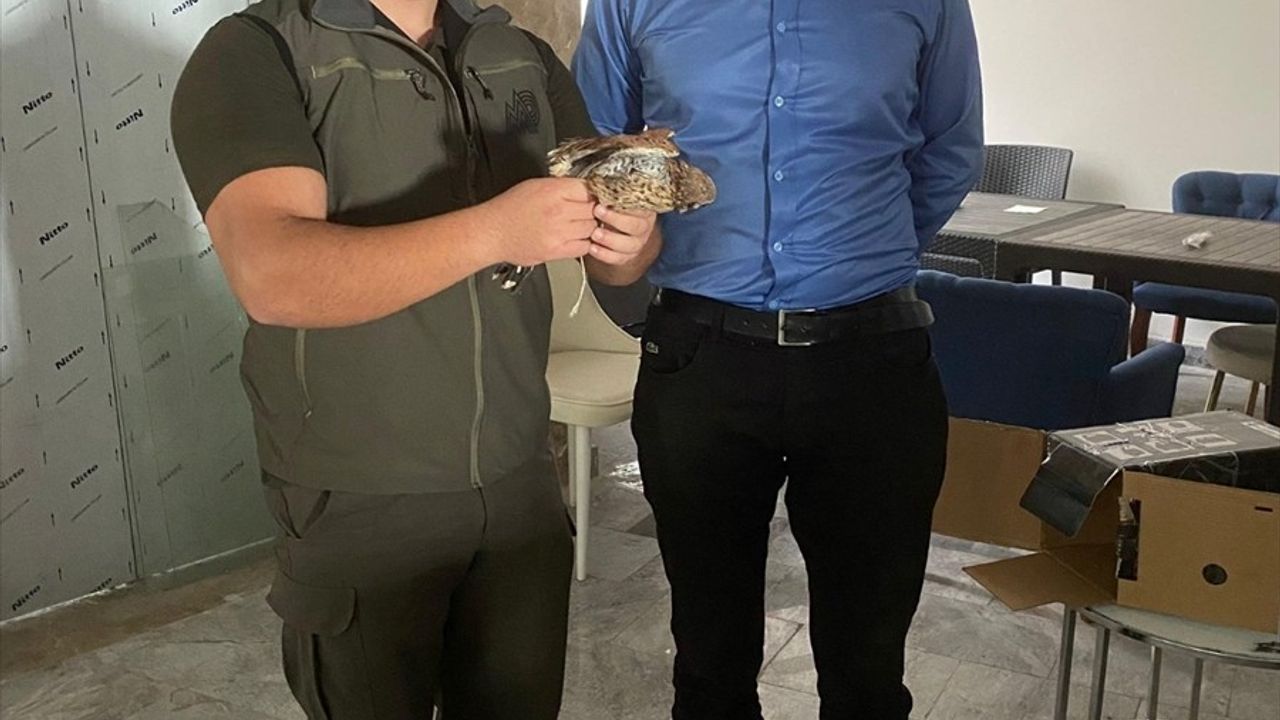 Şırnak'ta Yaralı Kuşlara Acil Müdahale