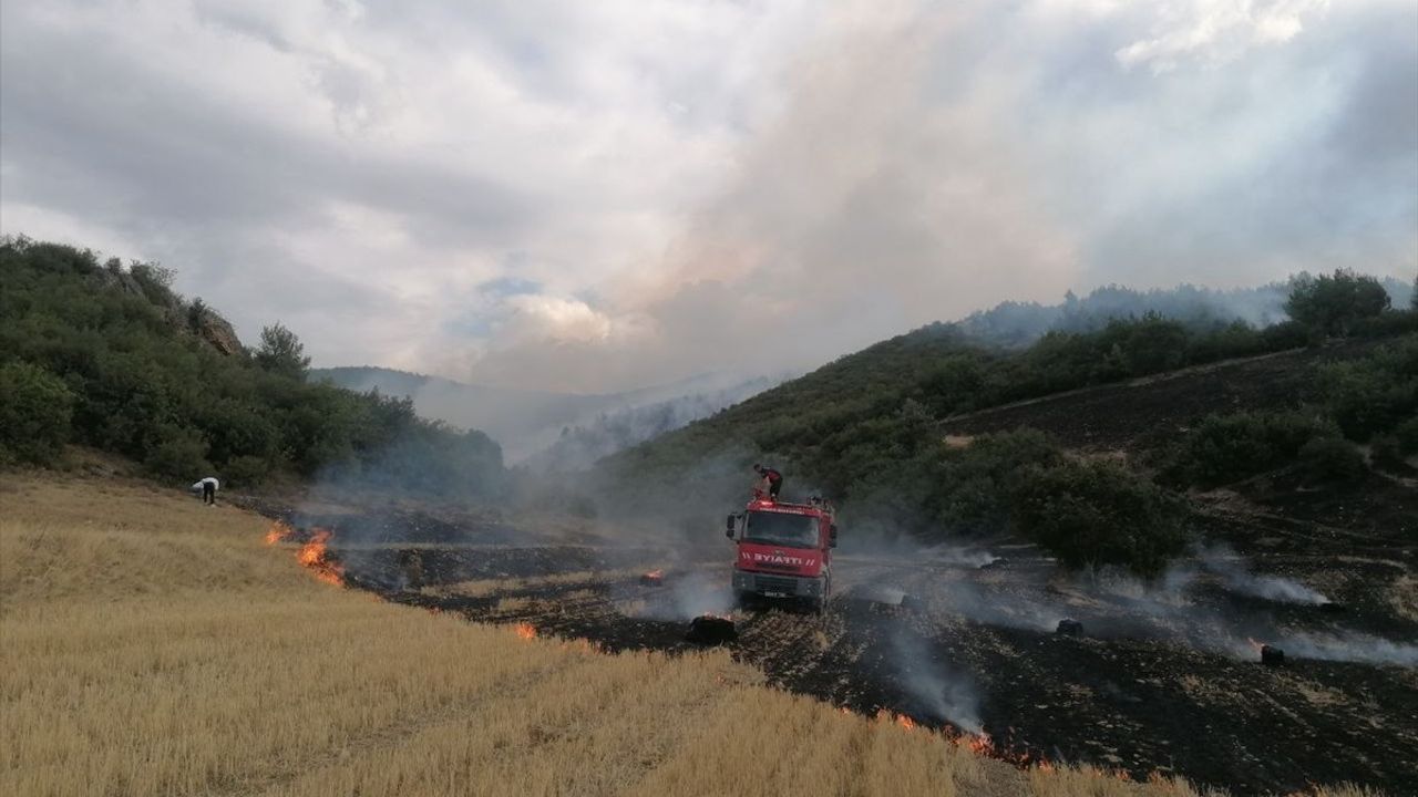 Tokat'ta Orman Yangınına Müdahale Ediliyor