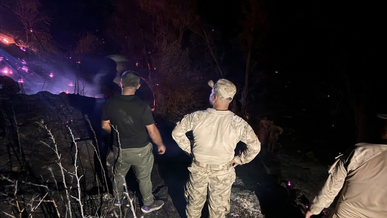 Tunceli'de Orman Yangını Kontrol Altında