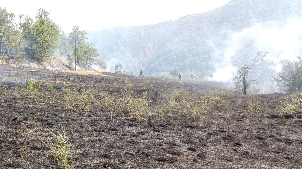 Tunceli'deki Orman Yangınına Hızla Müdahale Ediliyor