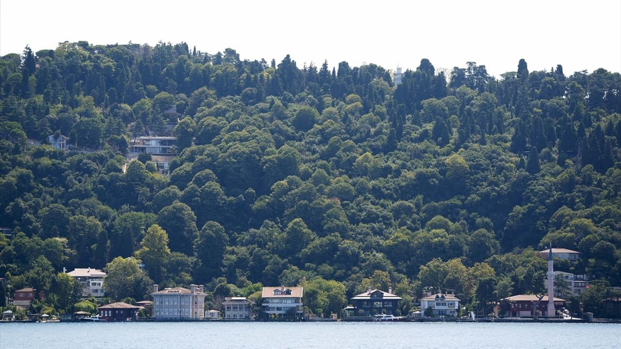 Üsküdar Vaniköy'deki İzinsiz İnşaat Mühürleniyor