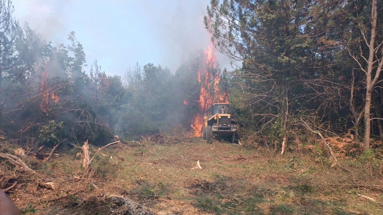 Zonguldak'ta Orman Yangını Kontrol Altına Alındı