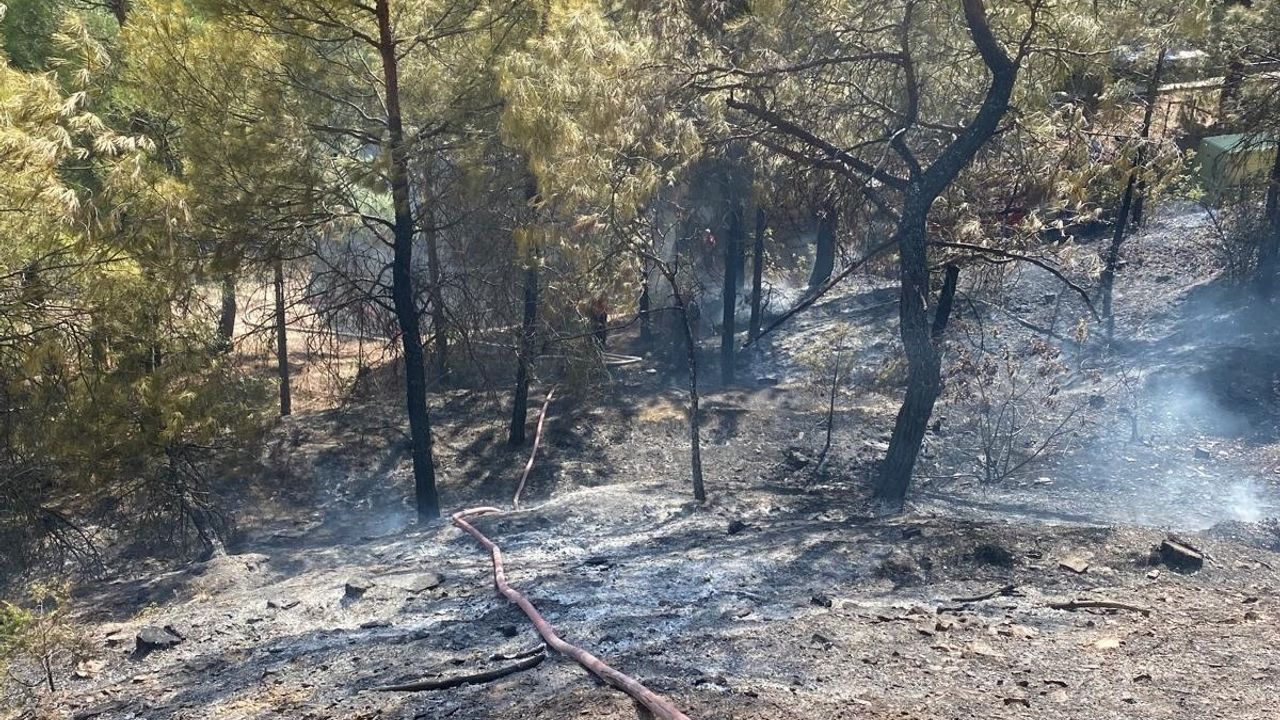 Amasya'daki Orman Yangını Kontrol Altına Alındı