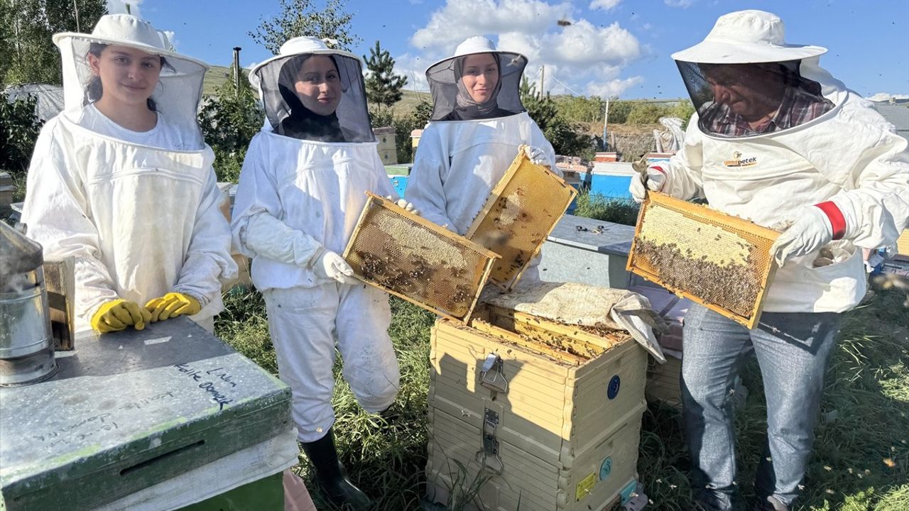 Ardahan Çiçek Balında Rekoltede Jump: 400 Tonun Üzerine Çıkılması Bekleniyor