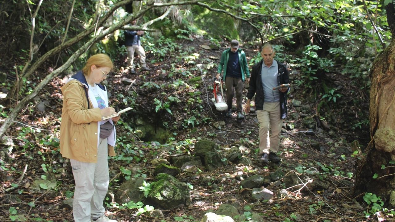 Artvin'de Arkeolojik Kazılarda Jeoradar Uygulamaları