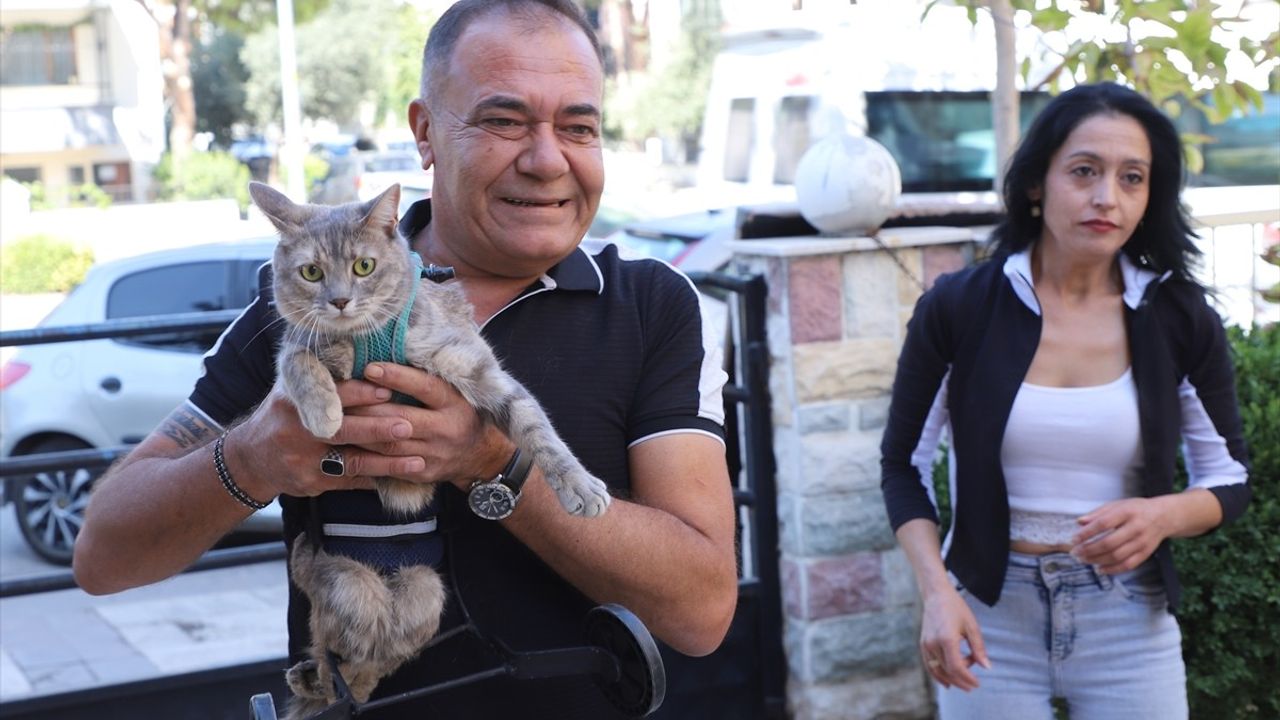 Denizli'de Hayvanseverden Felçli Kedisine Yürüteç