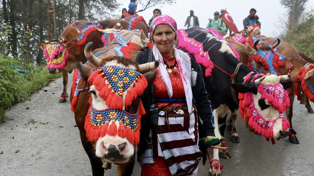 Doğu Karadeniz'de Besicilerin Yayla Dönüşü Başladı