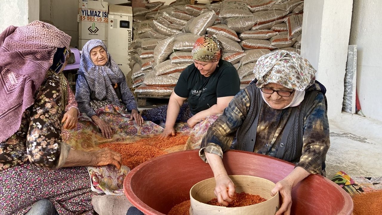 Dostluk ve Tarhananın Sırrı: 90 Yaşındaki Üç Arkadaş