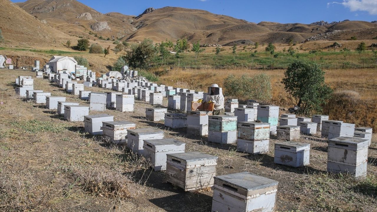 Hakkari Dağlarında En Kaliteli Bal Üretimi: Ordulu Şinasi ve Cevriye Keskin Çifti