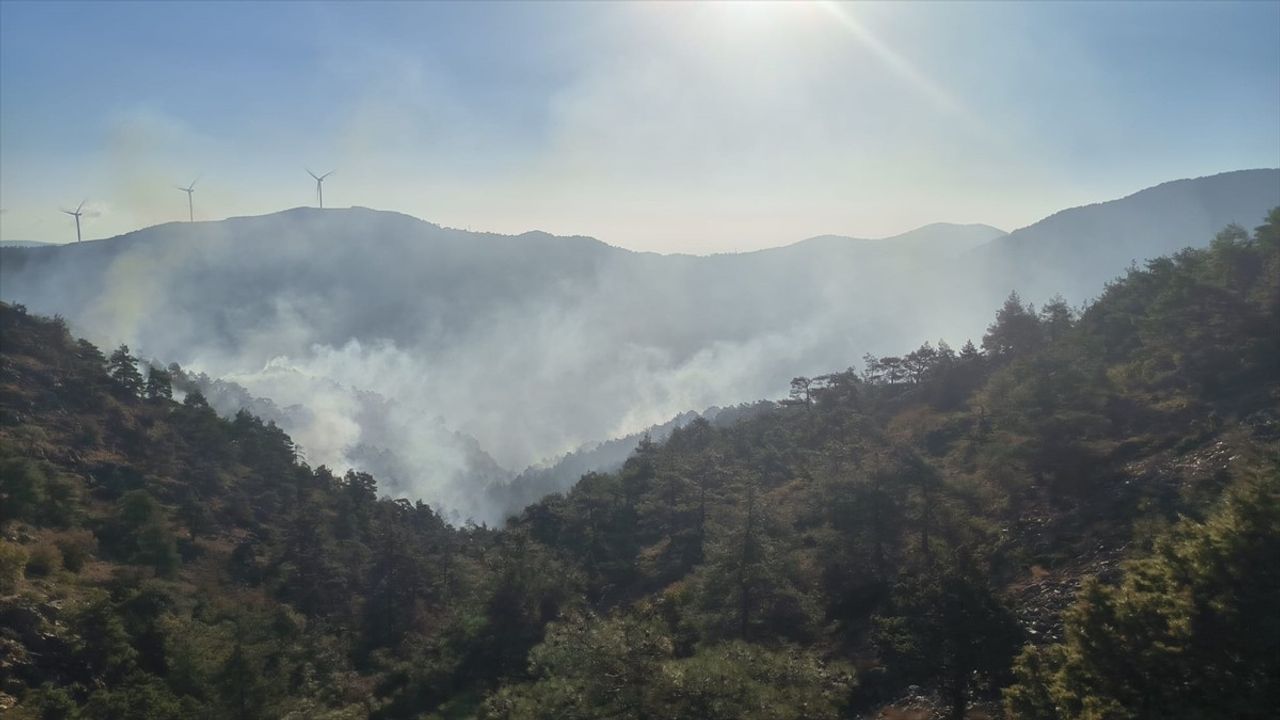 Hatay'daki Orman Yangınına Hızla Müdahale Ediliyor