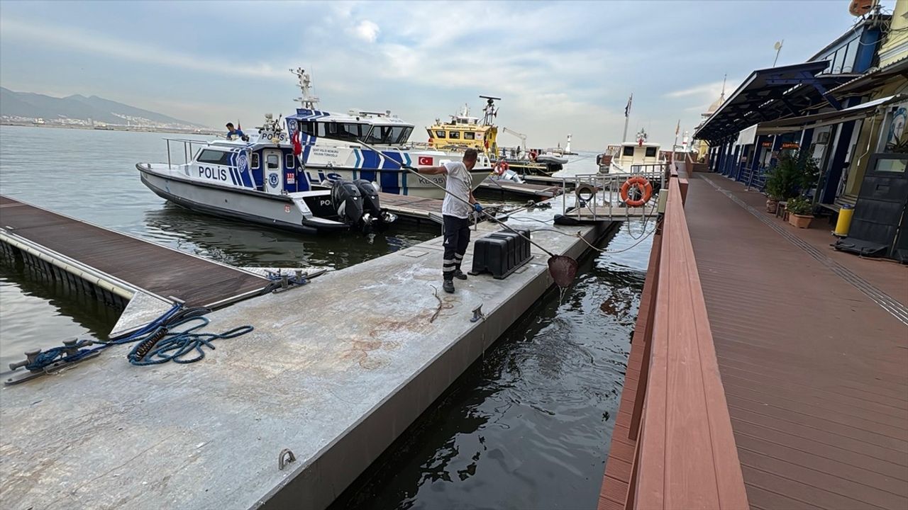 İzmir Körfezi'nde Balık Ölümleri ve Kirlilik Sorunu Devam Ediyor