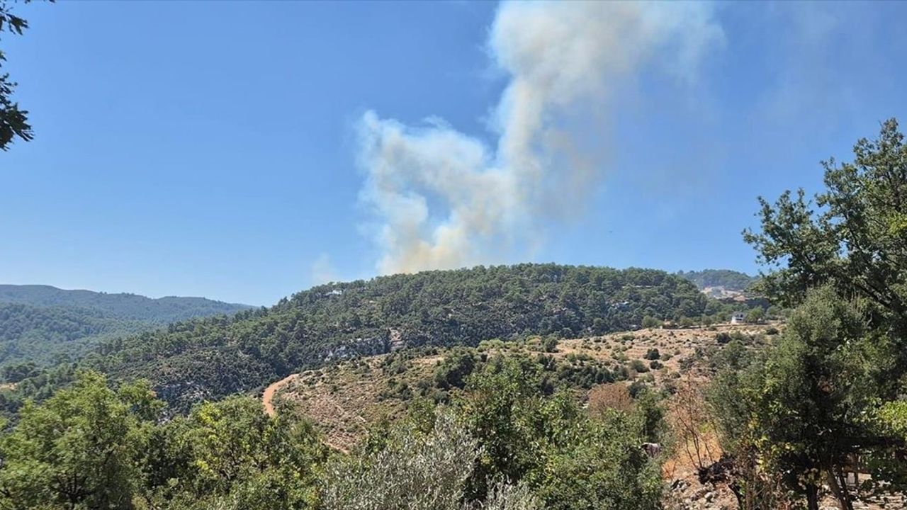 Kaş'ta Orman Yangınına Hızla Müdahale Ediliyor