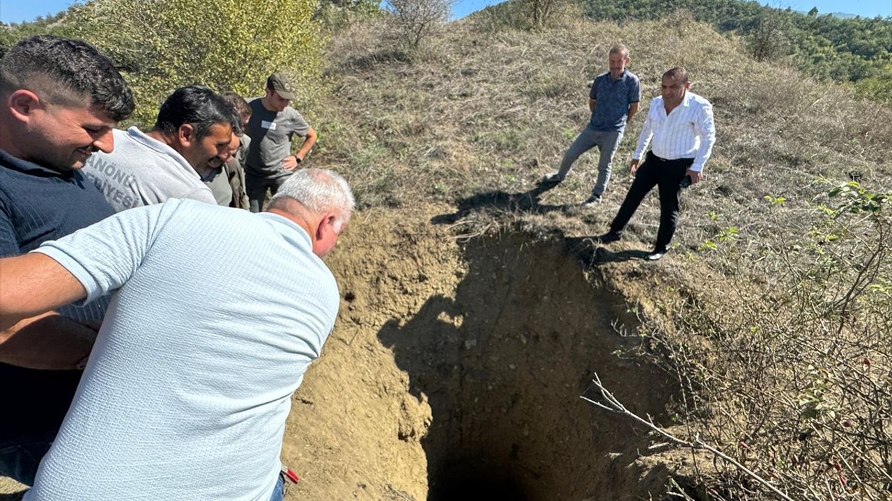 Kastamonu'da Düşen Ayı Kurtarıldı