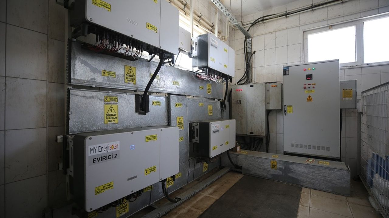 Kırklareli'de Güneş Enerjisi ile Süt Üretimi