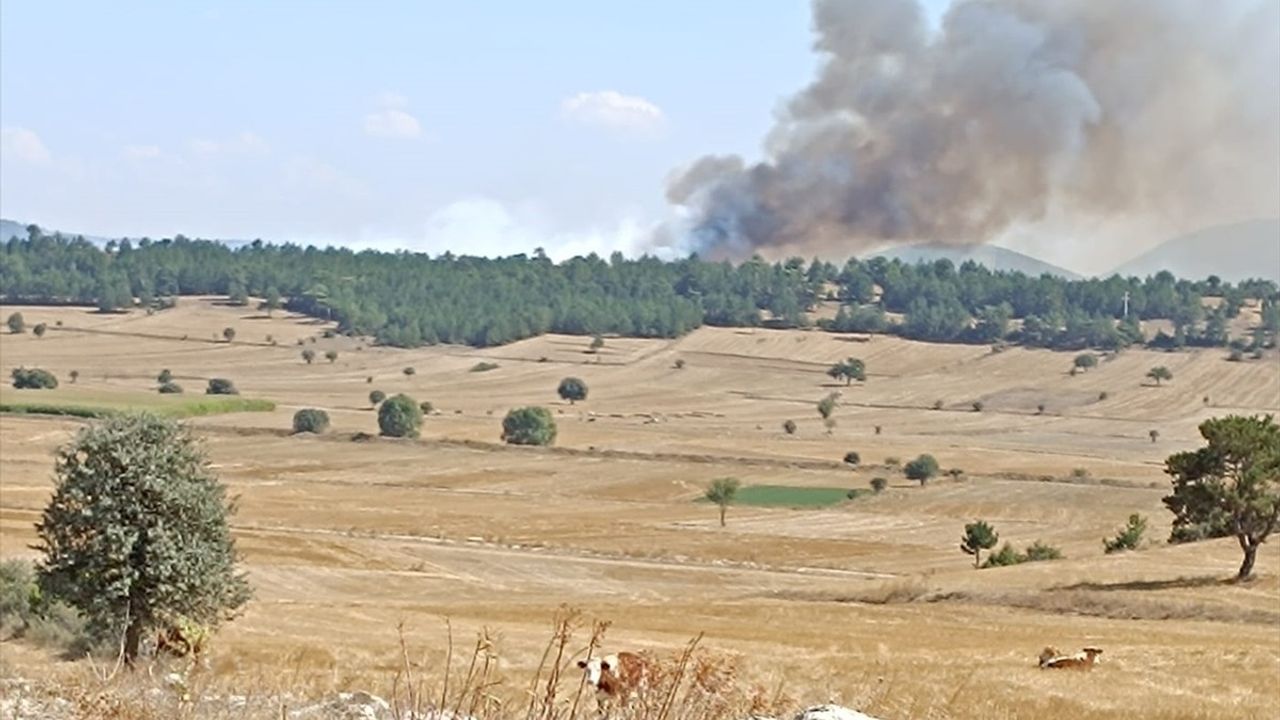 Kütahya'daki Anız Yangını Ormanlık Alana Sıçradı