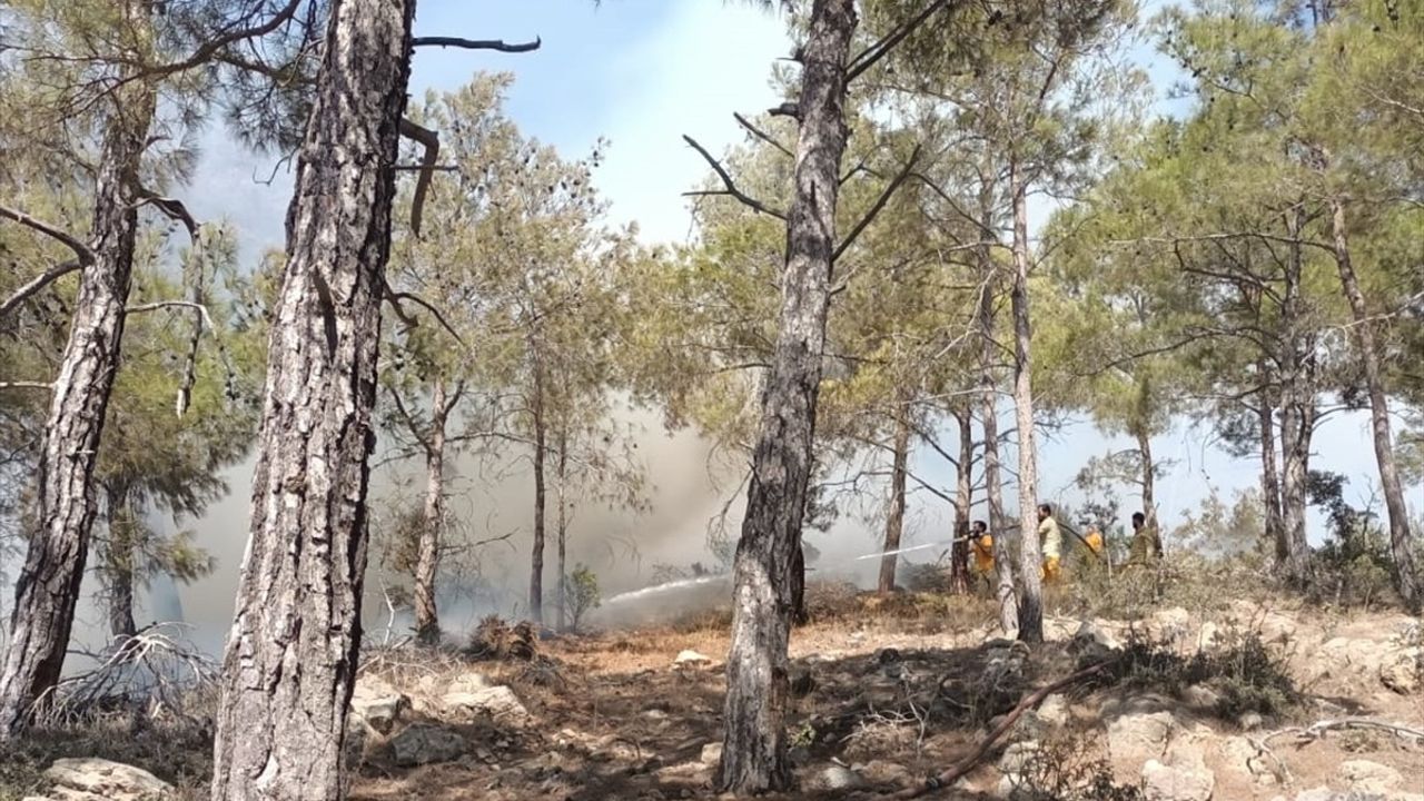 Mersin'deki Orman Yangını Kontrol Altına Alındı