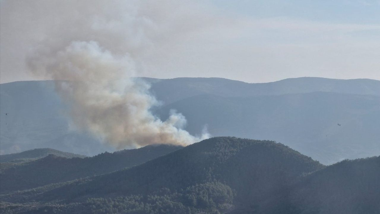 Milas'ta Orman Yangınına Hızlı Müdahale