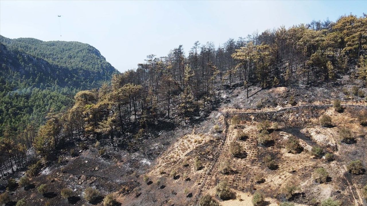 Muğla'da Orman Yangınına Savaş Devam Ediyor