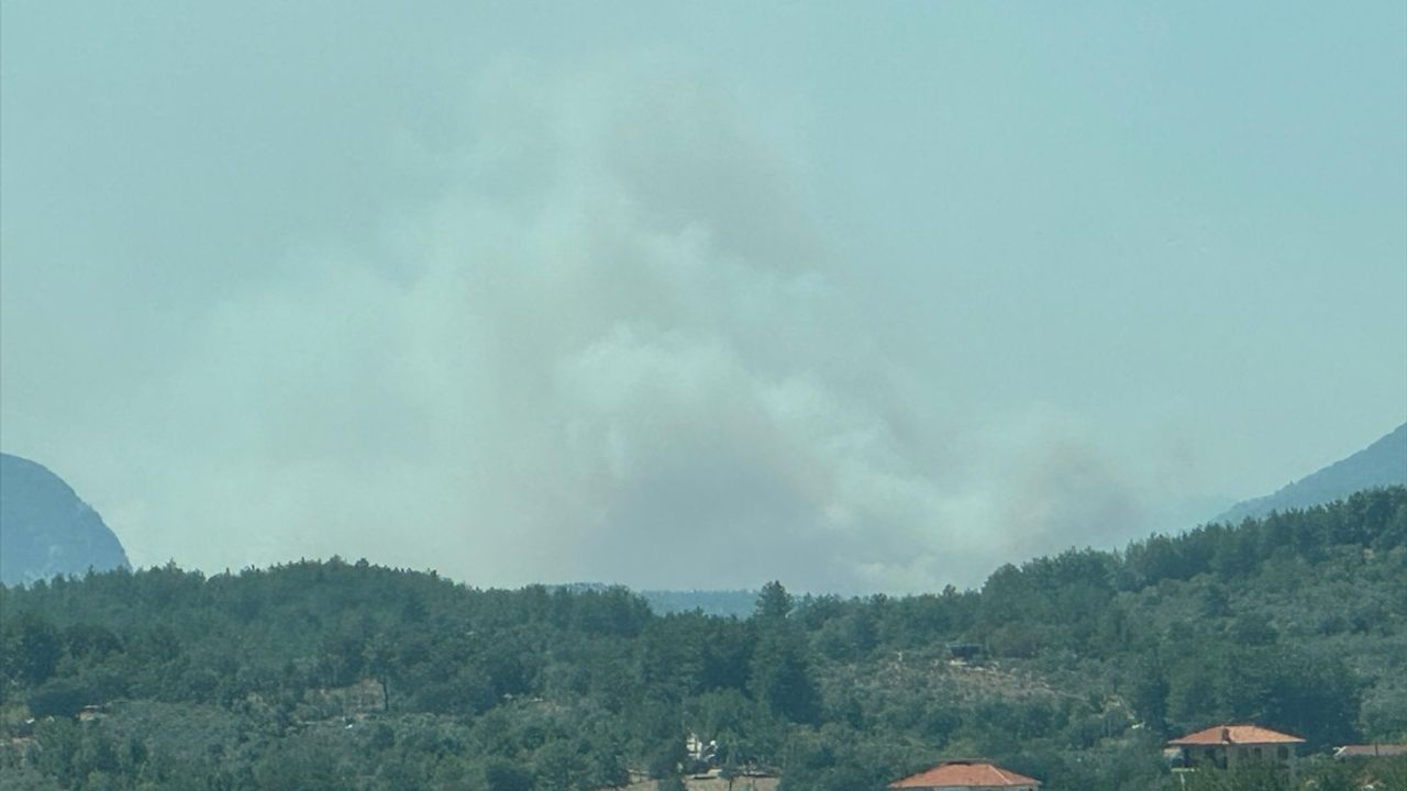 Muğla'daki Orman Yangınına Hızla Müdahale Ediliyor