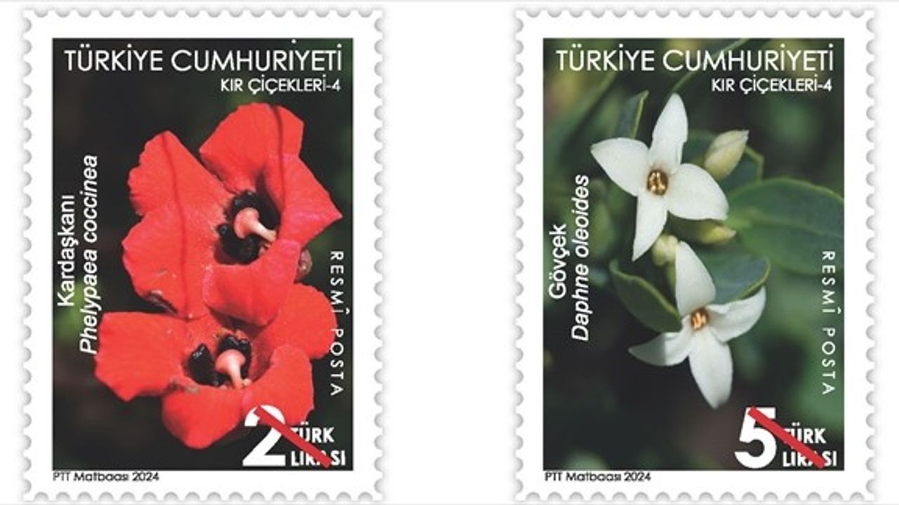 PTT, Kır Çiçekleri-4 Temalı Posta Pullarını Satışa Sundı