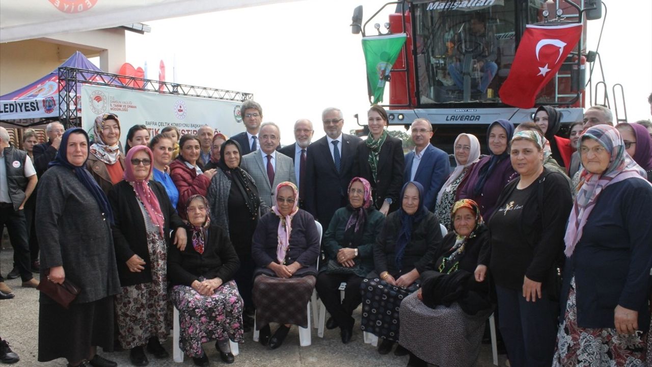 Samsun'da 'Çeltik Yetiştiriciliği Hasat Günü' Etkinliği Düzenlendi