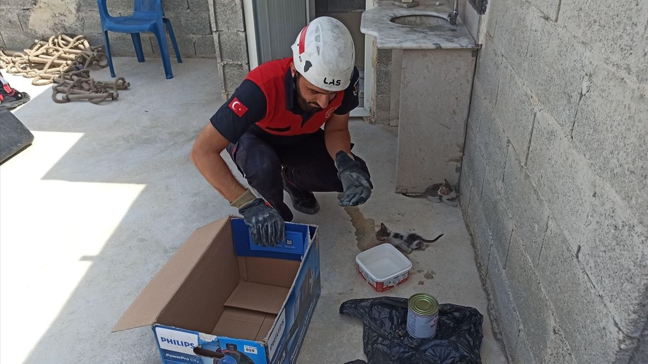 Şanlıurfa'da Havalandırma Boşluğuna Düşen İki Kedi Yavrusu Kurtarıldı