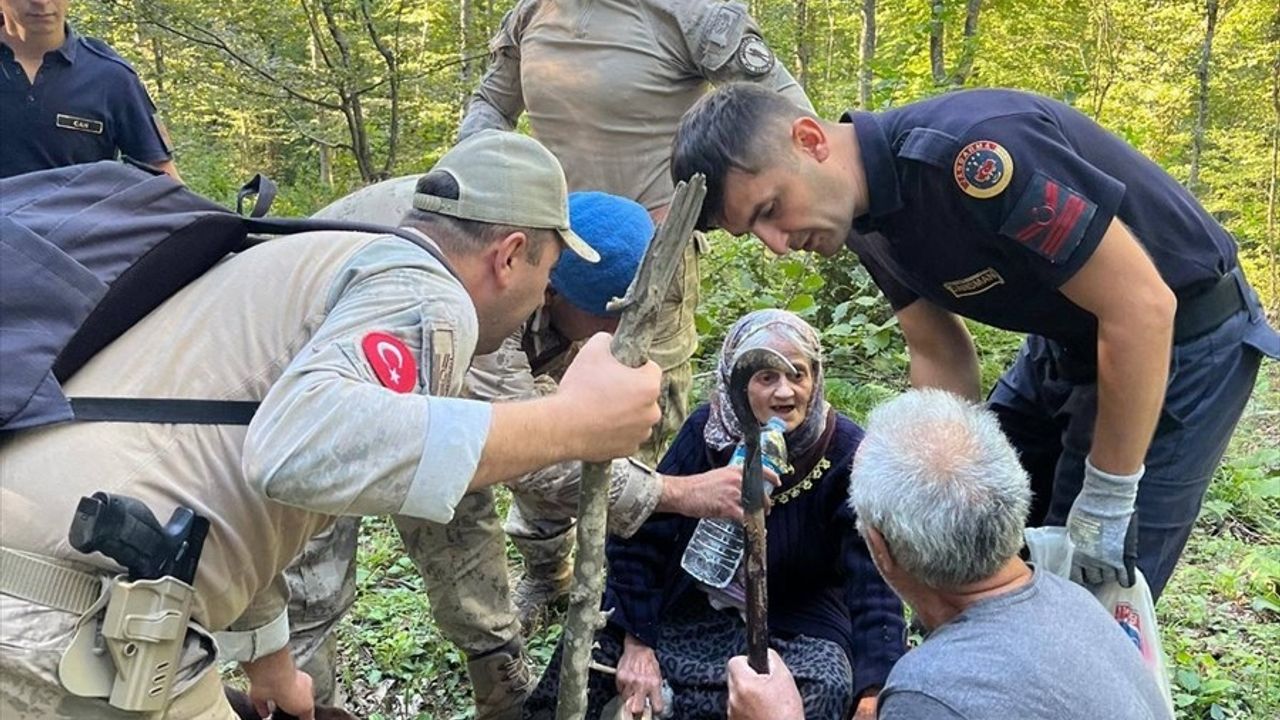 Sinop'ta Kaybolan Kadın Ormanda Bulundu