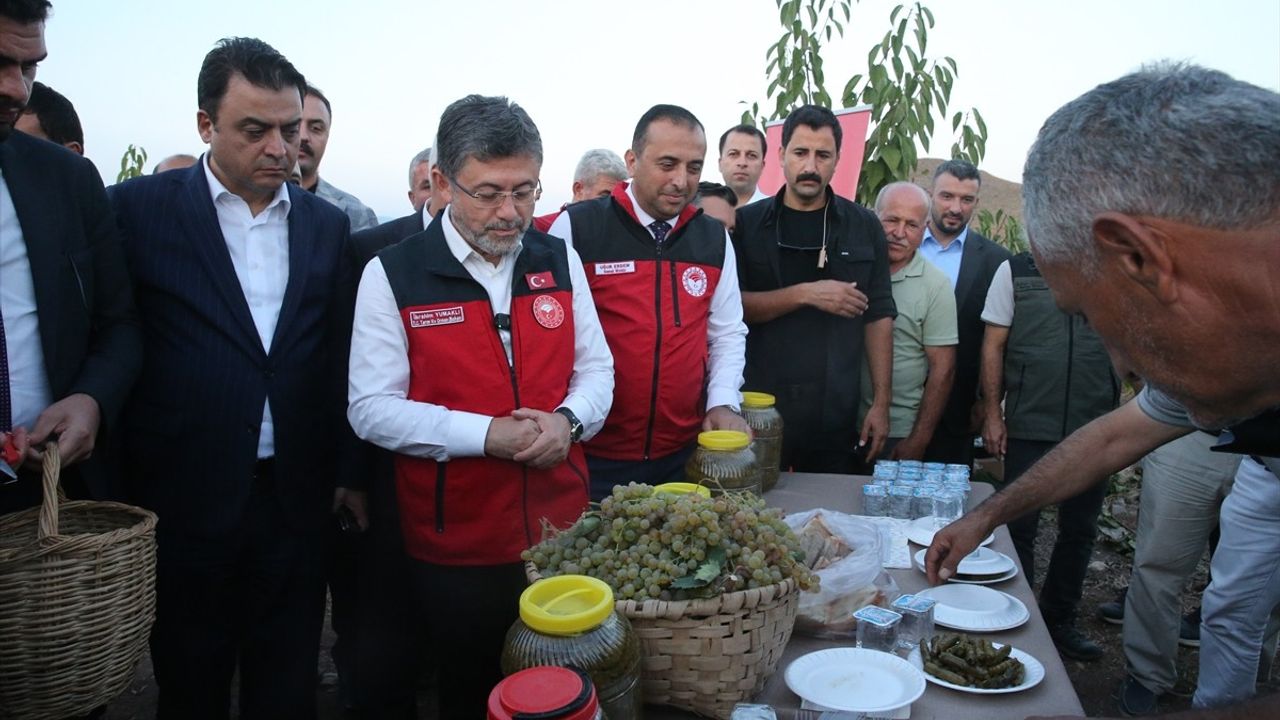 Tarım ve Orman Bakanı Yumaklı, Tokat’ta Üzüm Hasadında Biyoteknik Mücadeleyi Vurguladı