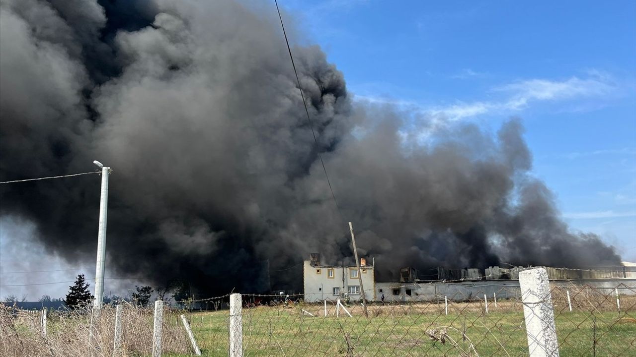 Tekirdağ'daki Yangına Hızla Müdahale Edildi