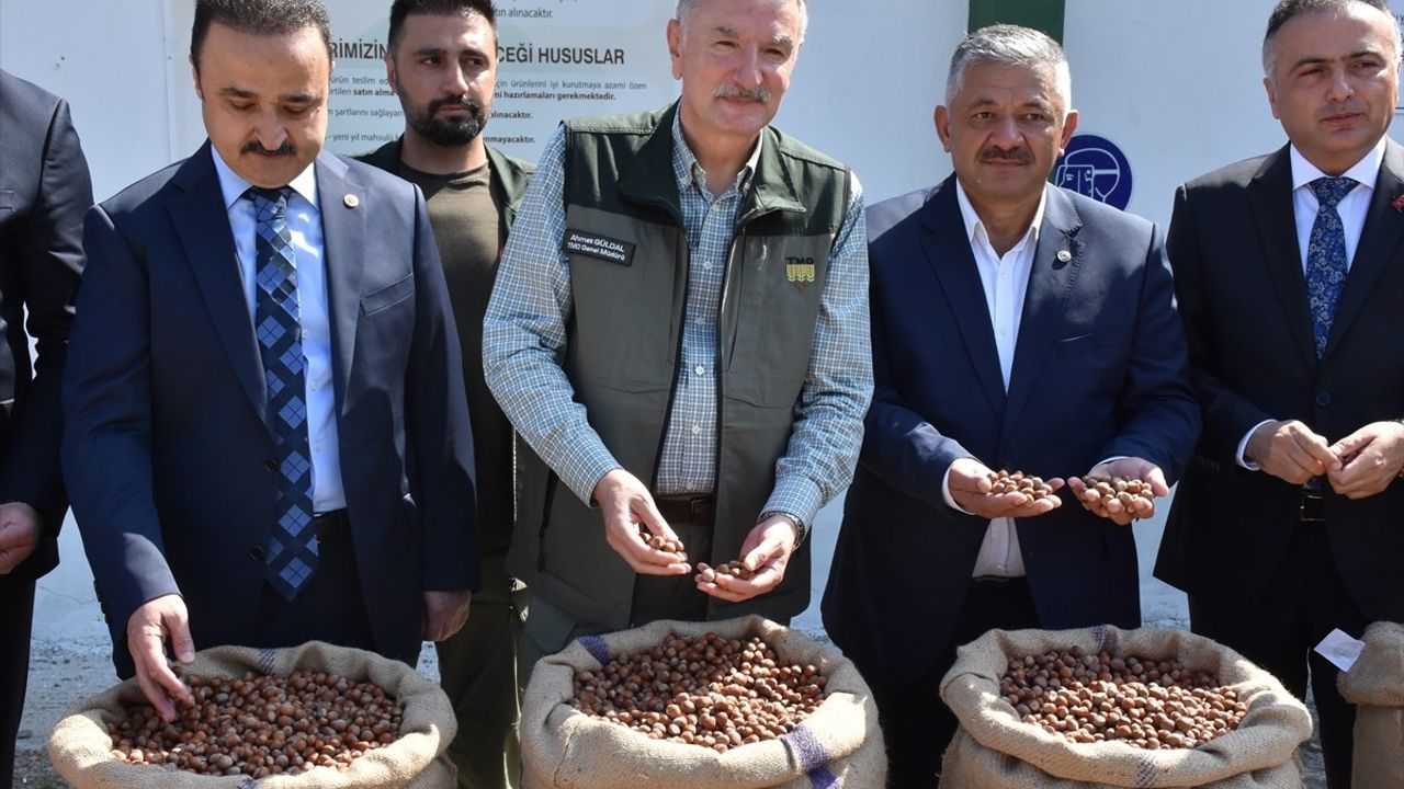 TMO Genel Müdürü Ahmet Güldal Ordu'da Fındık Alım Deposunu Ziyaret Etti