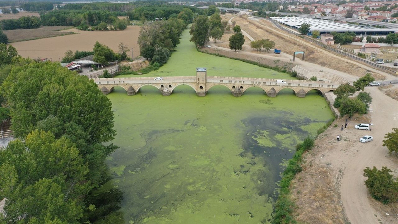 Tunca Nehri'nde Yosun ve Su Mercimeği Yayılımı Artıyor