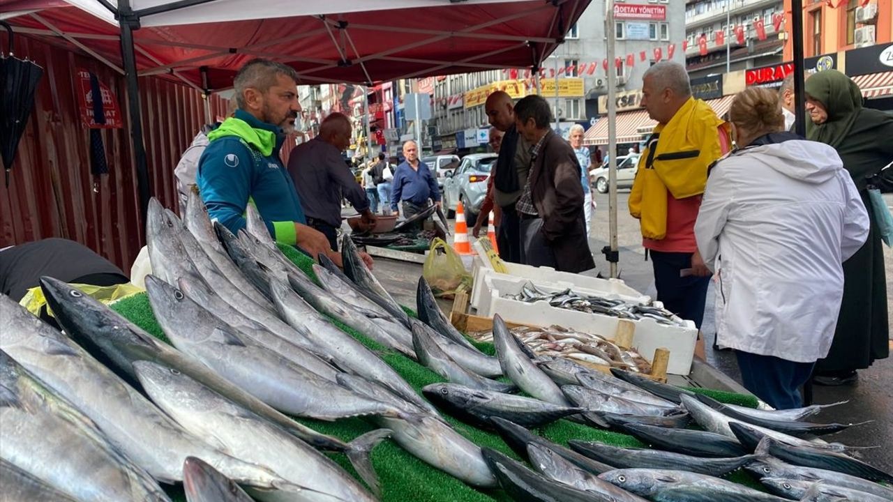 Zonguldak'ta Balık Pazarı Hareketlendi: Sezon Başladı