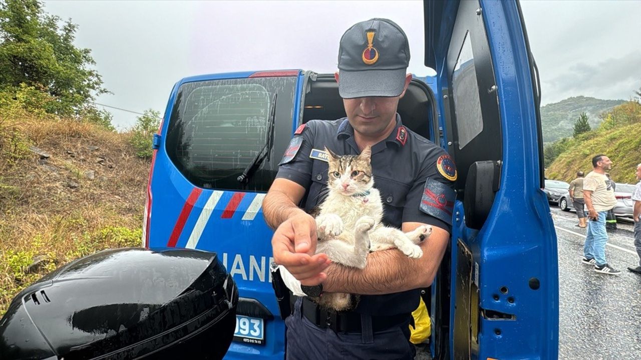 Zonguldak'ta Feci Trafik Kazası: 2 Ölü, 24 Yaralı