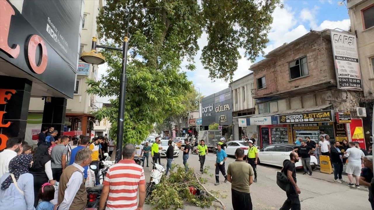 Adıyaman'da Rüzgarın Kırdığı Dal Motosiklet Sürücüsüne Zarar Verdi