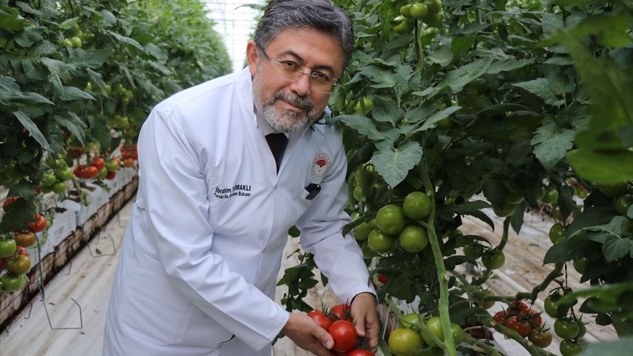 Ağrı'da Tarıma Dayalı Yatırımlar: Kadın İstihdamı ve Jeotermal Enerji Vurgusu