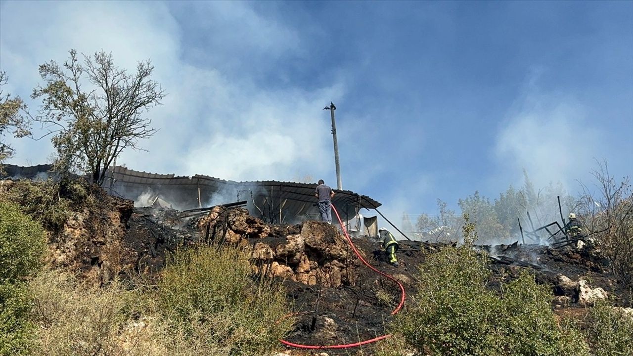 Antalya'da Yangın Faciası: 50 Küçükbaş Hayvan Telef Oldu