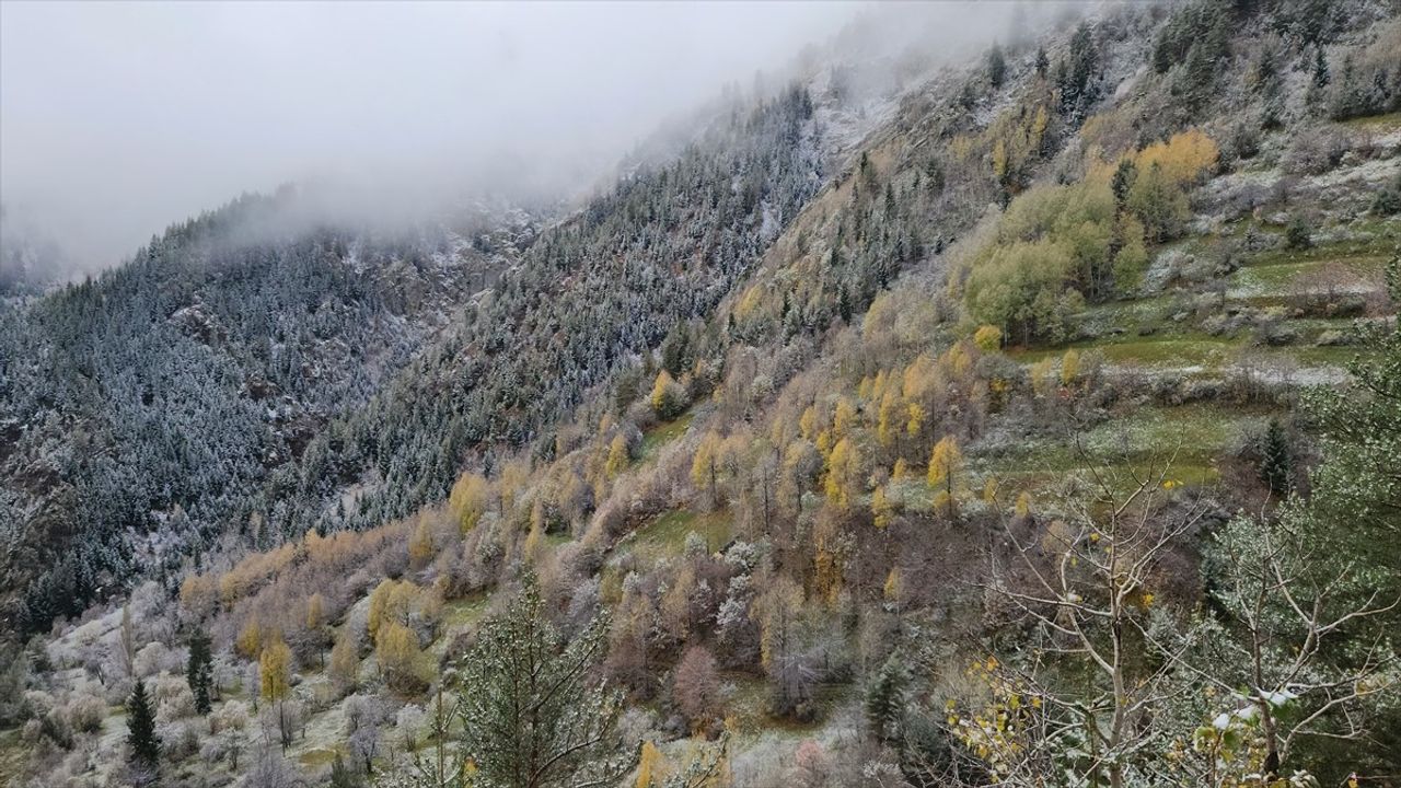 Artvin'de Kardan Kapalı Köy Yolları Yeniden Ulaşıma Açıldı