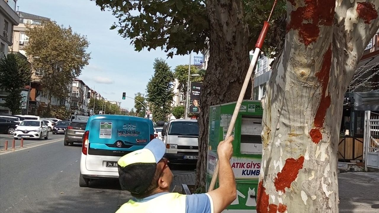 Bahçelievler'de İETT Otobüsü Ağaçla Çarpınca Hasar Giderildi