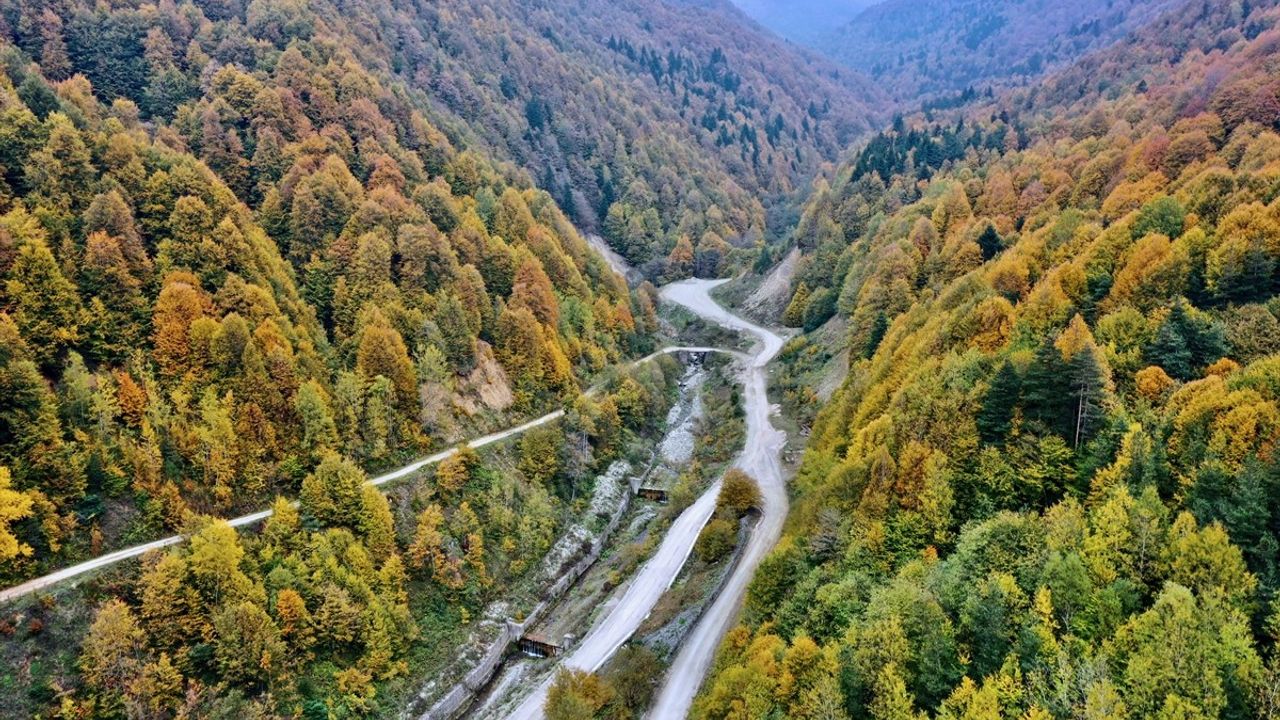 Bolu Dağı'nda Sonbahar Renkleriyle Yolculuk Keyfi