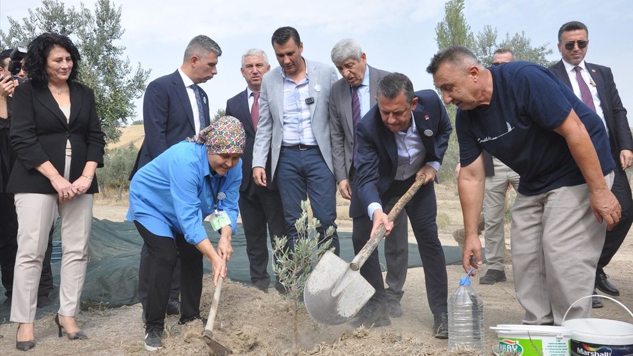 CHP Genel Başkanı Özgür Özel, Manisa'da Zeytin Şenliğine Katıldı