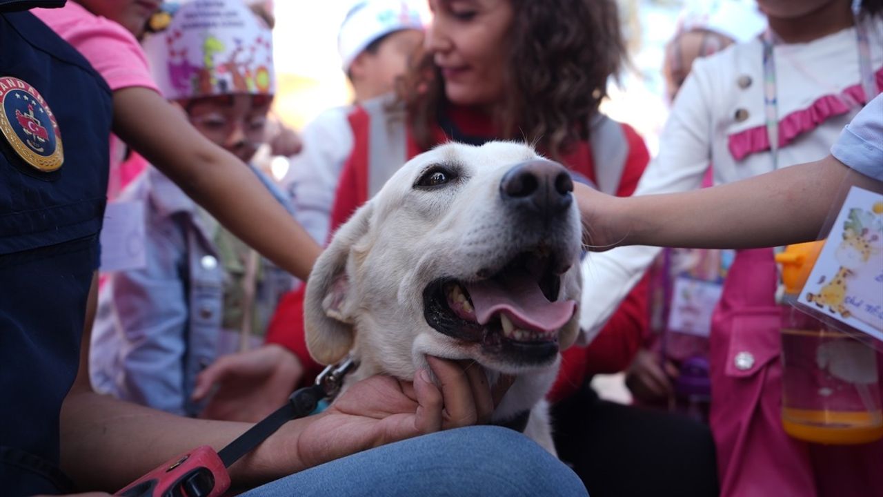 Düzce'de Hayvanları Koruma Günü Etkinliği: Sahiplendirme ve Farkındalık Rüzgarı