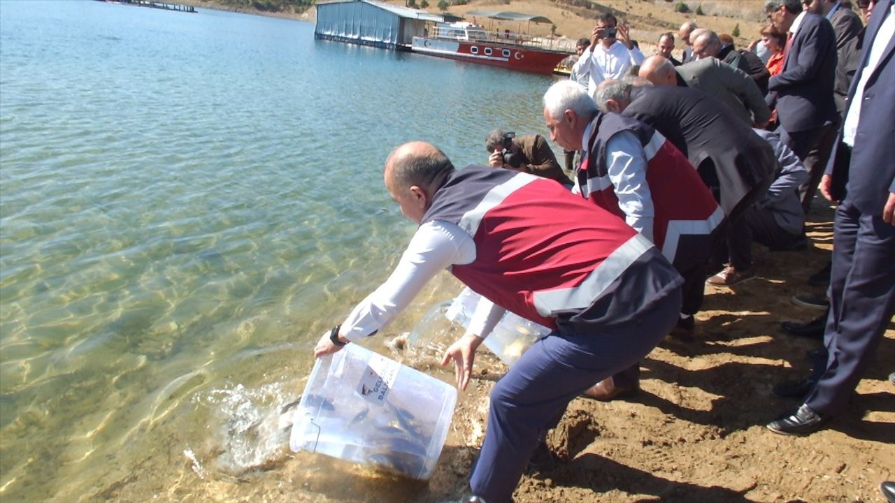 Elazığ'da Su Kaynaklarına 3 Milyon Sazan Yavrusu Takviyesi